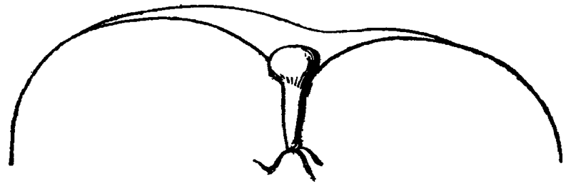 Figure 49.