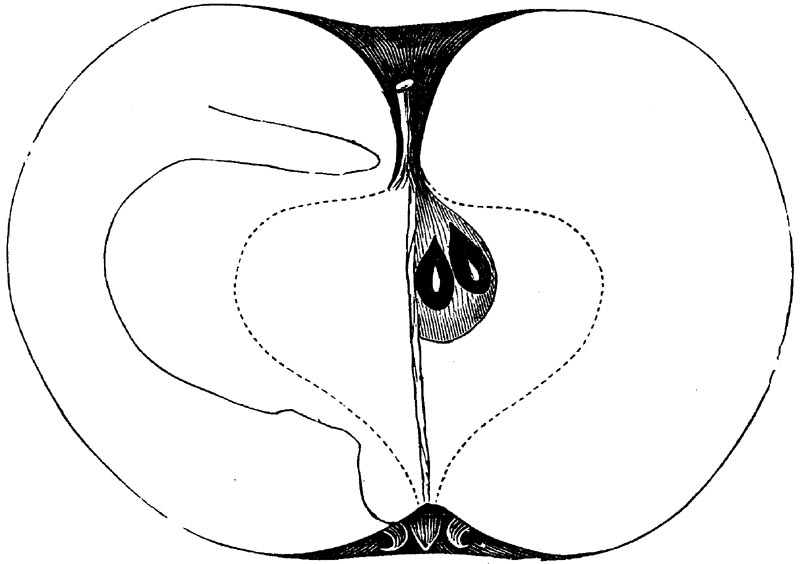 Figure 51.