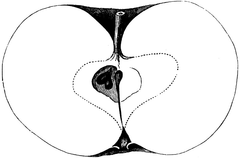 Figure 52.
