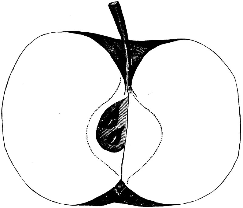 Figure 53.