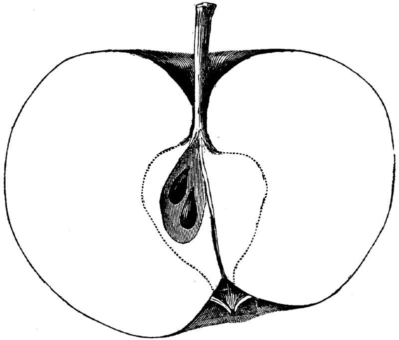 Figure 54.