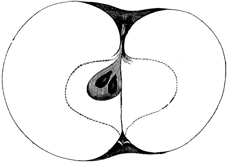 Figure 55.