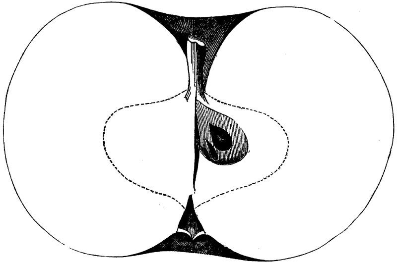 Figure 56.