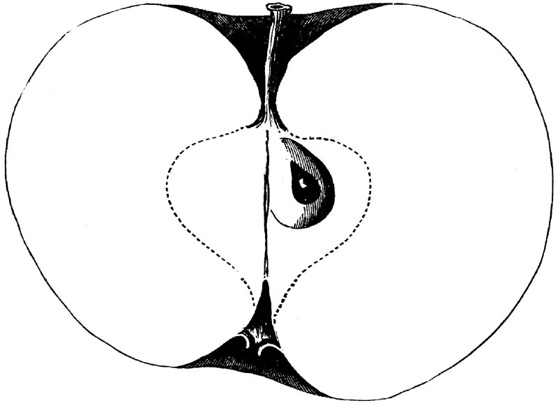 Figure 57.