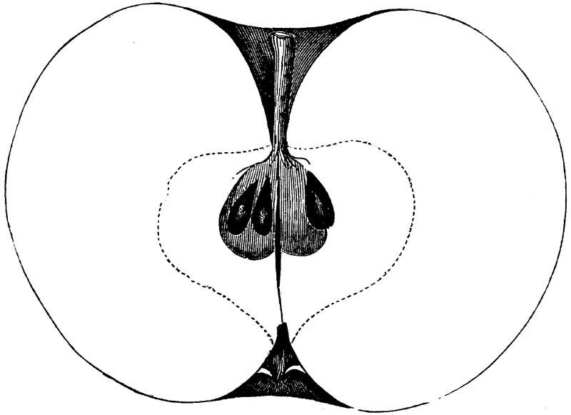 Figure 58.