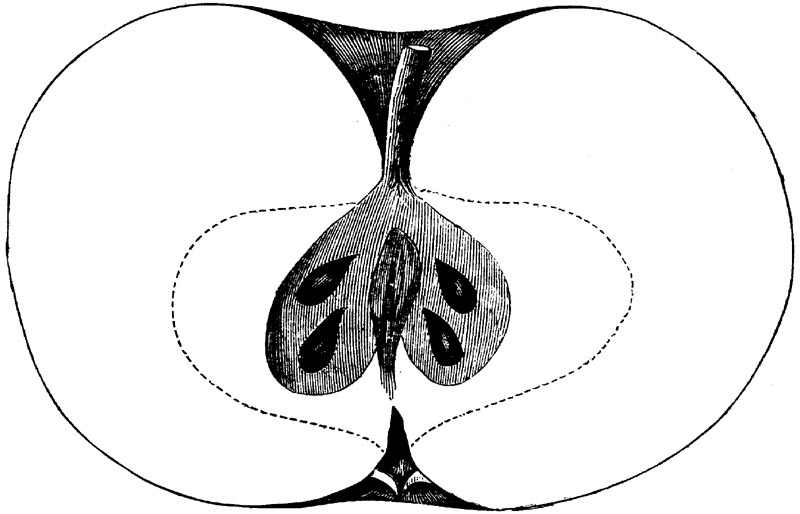 Figure 59.