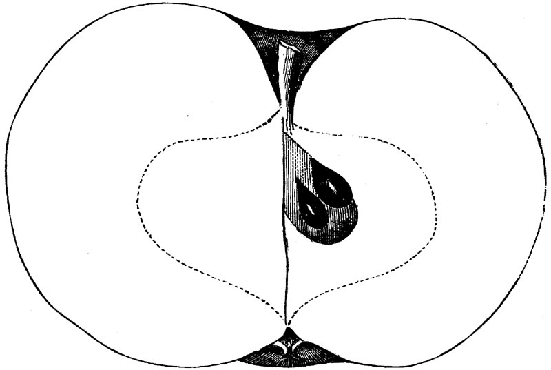 Figure 60.