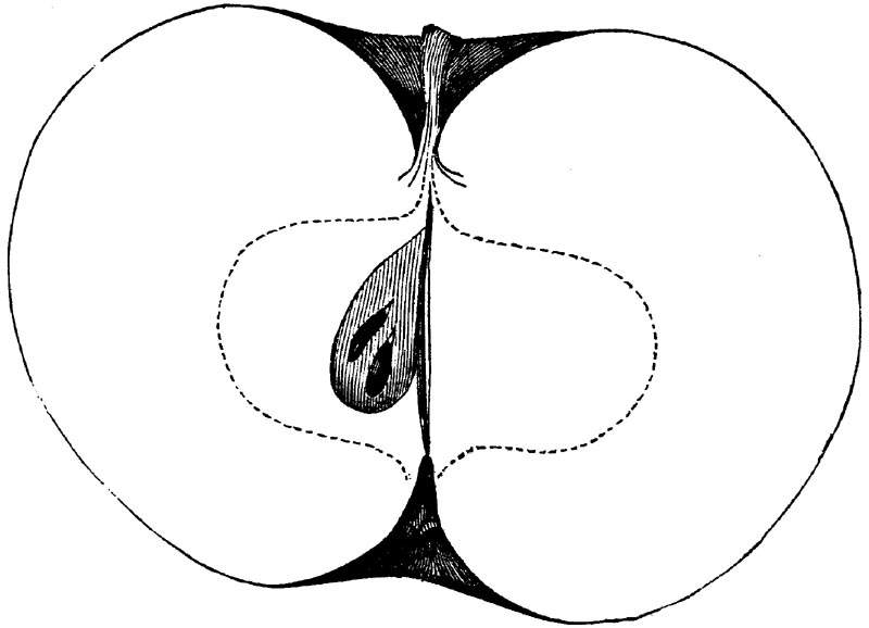 Figure 61.