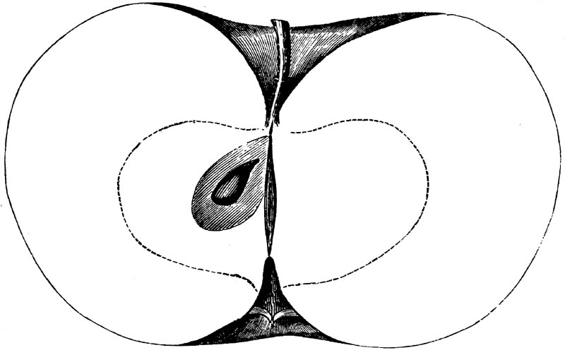 Figure 62.