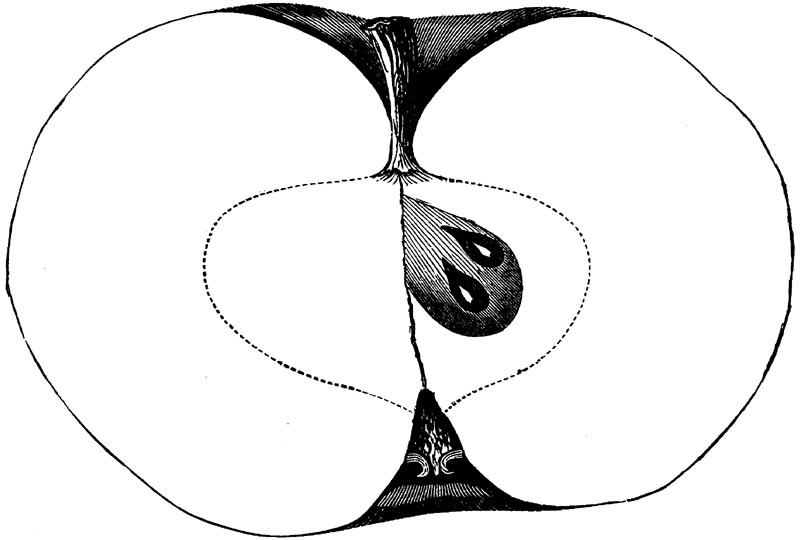 Figure 63.