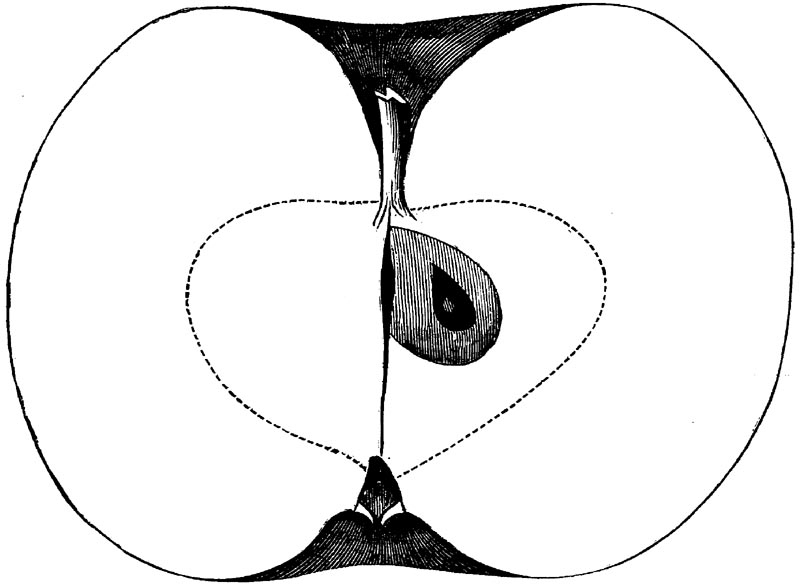 Figure 64.