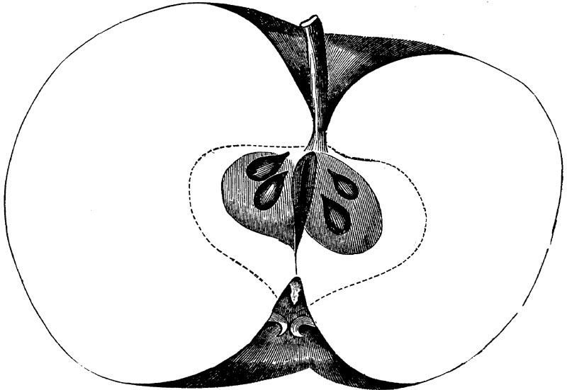 Figure 65.