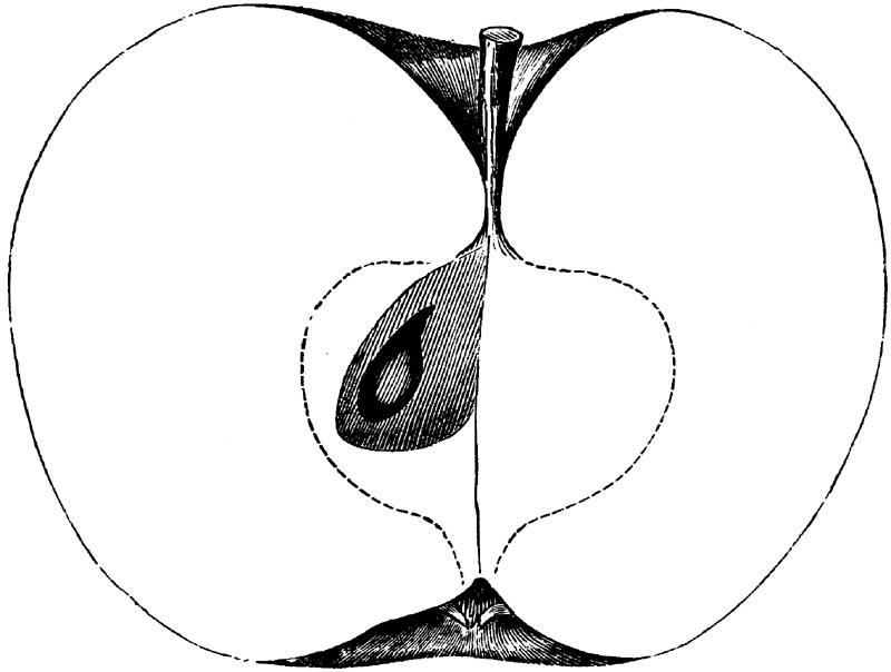 Figure 66.