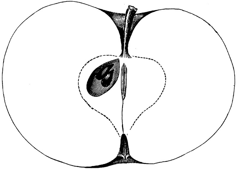 Figure 67.