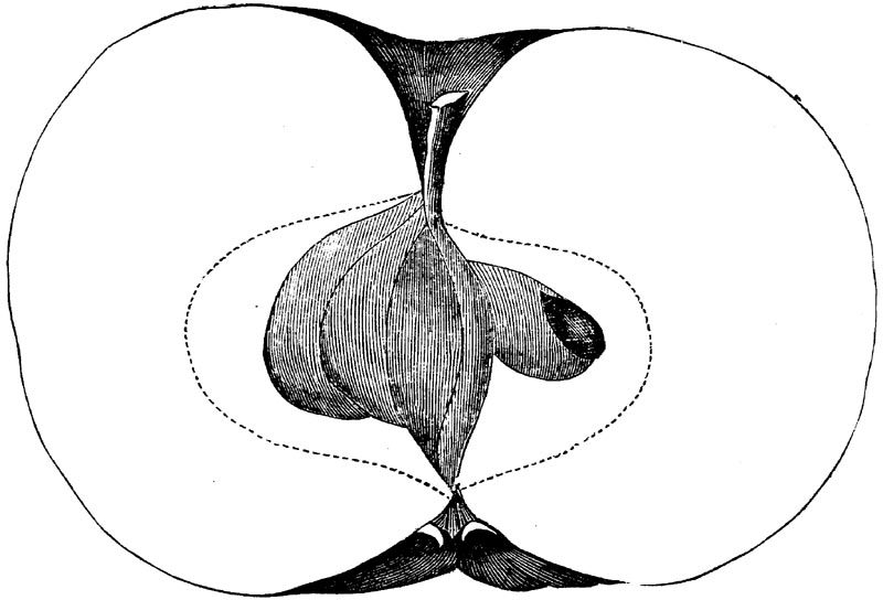 Figure 68.