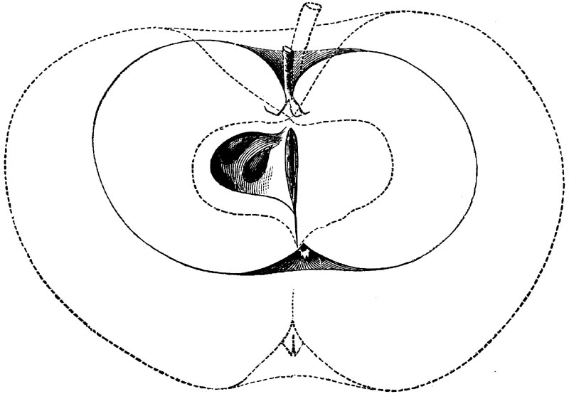 Figure 69.