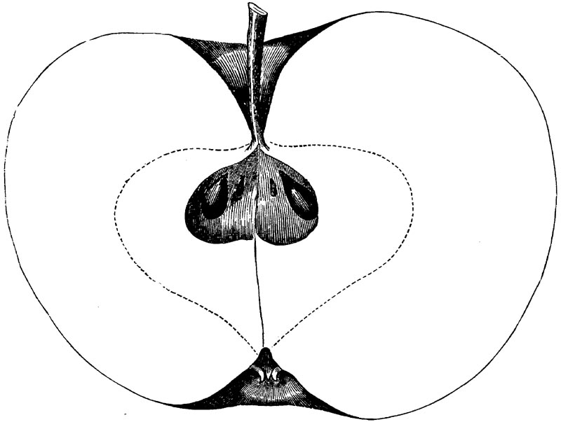 Figure 71.
