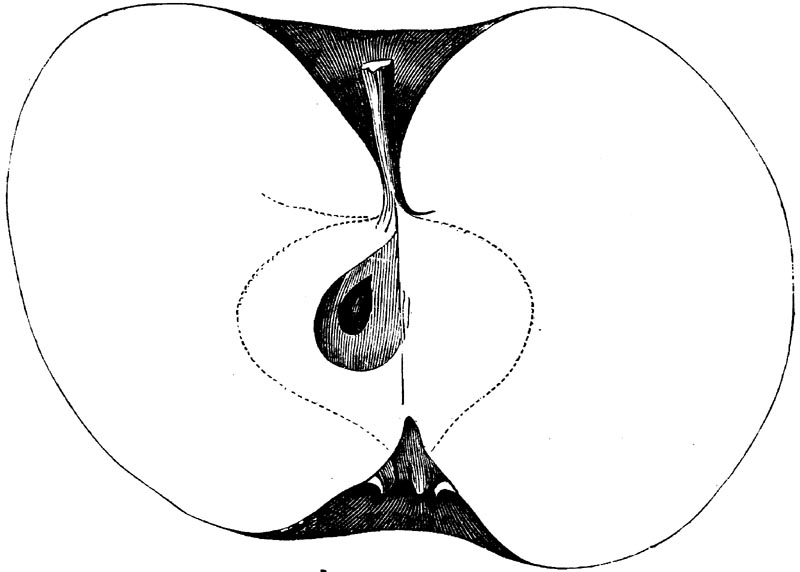 Figure 72.