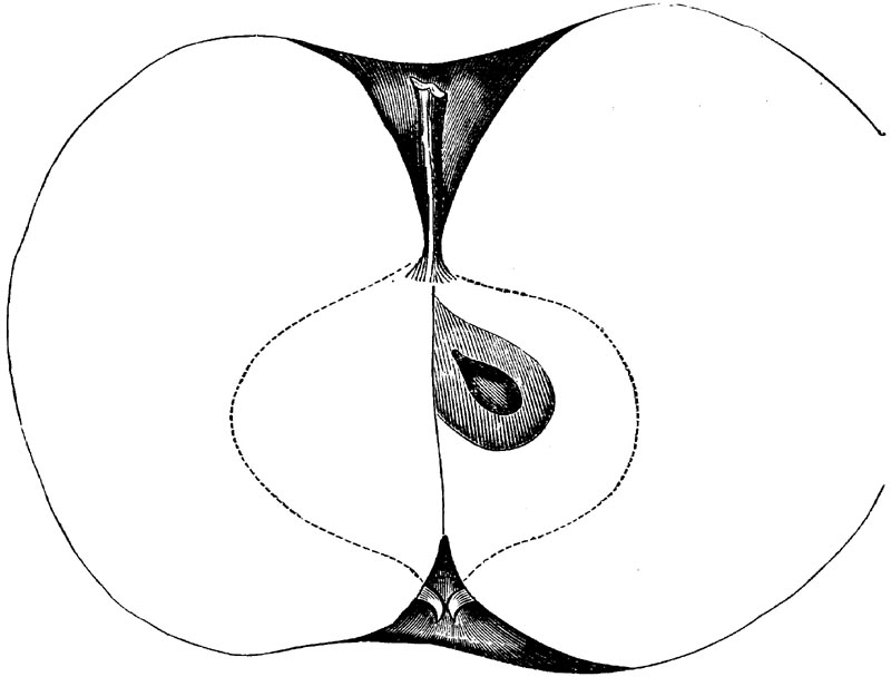 Figure 73.