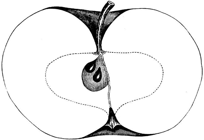 Figure 74.