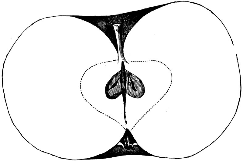 Figure 75.