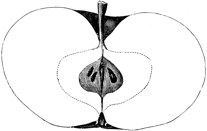 Figure 76.