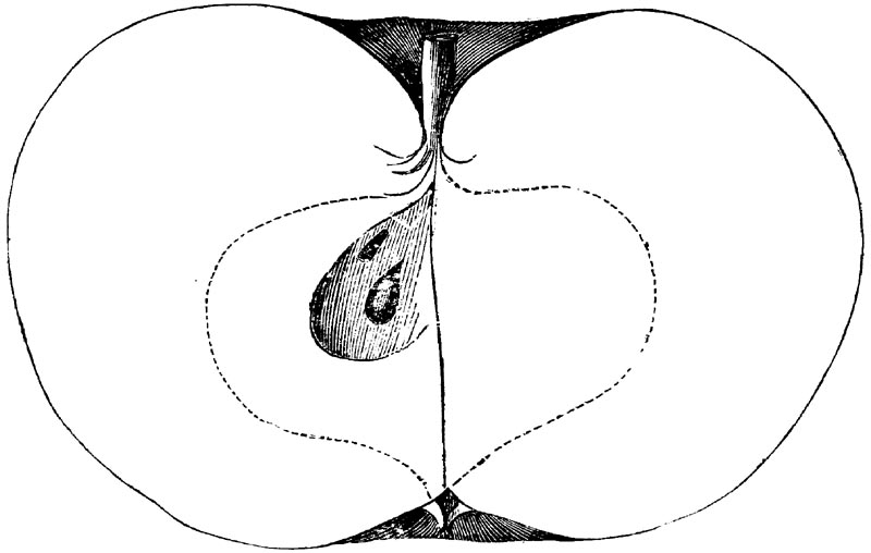 Figure 77.