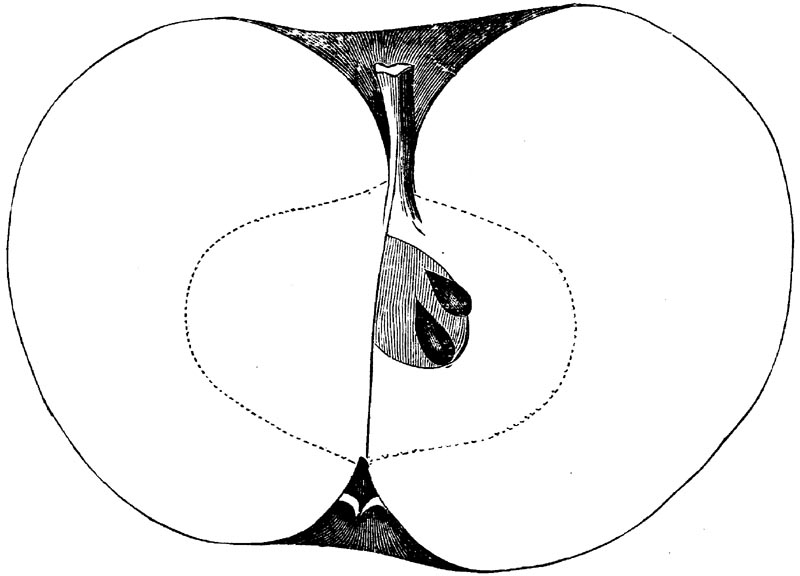 Figure 78.