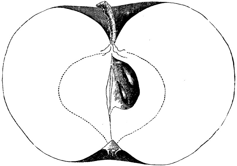 Figure 79.