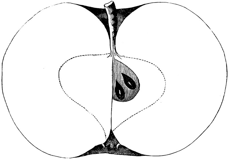 Figure 80.
