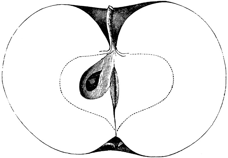 Figure 81.