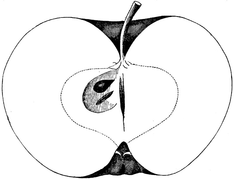 Figure 82.