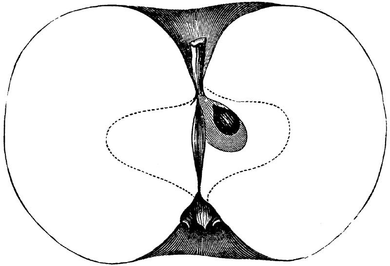 Figure 83.