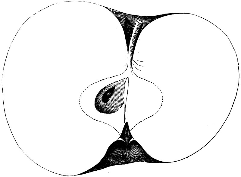 Figure 84.