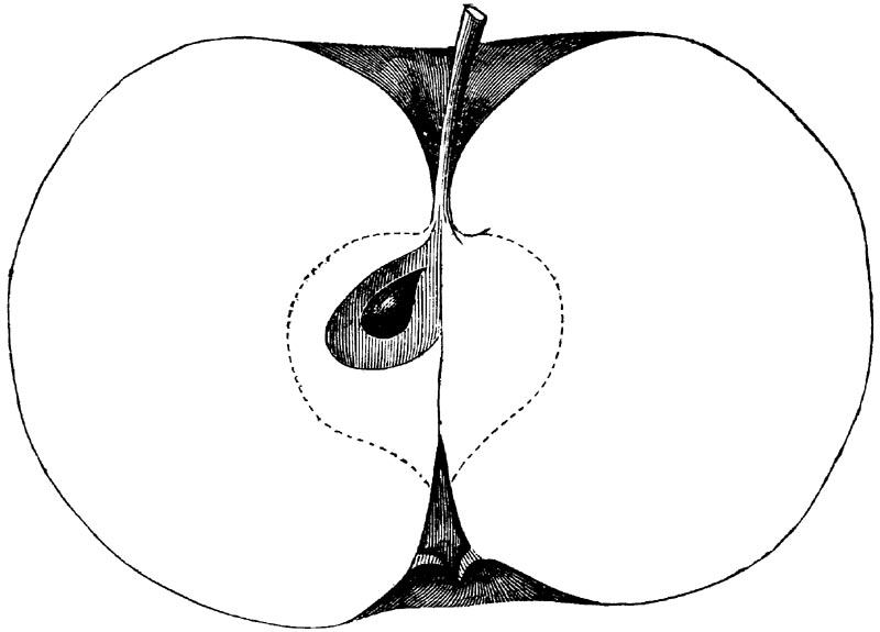 Figure 85.