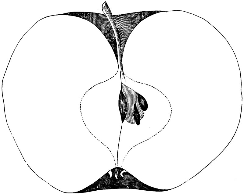 Figure 86.