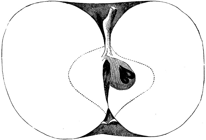 Figure 87.