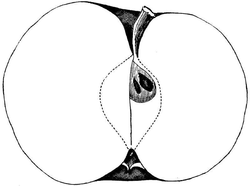 Figure 94.