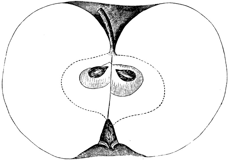 Figure 108.