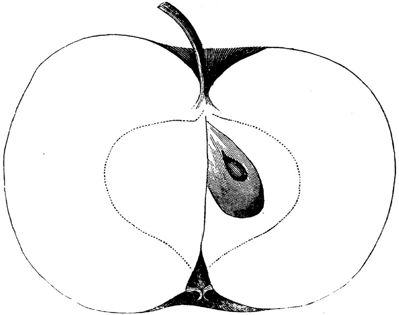 Figure 109.