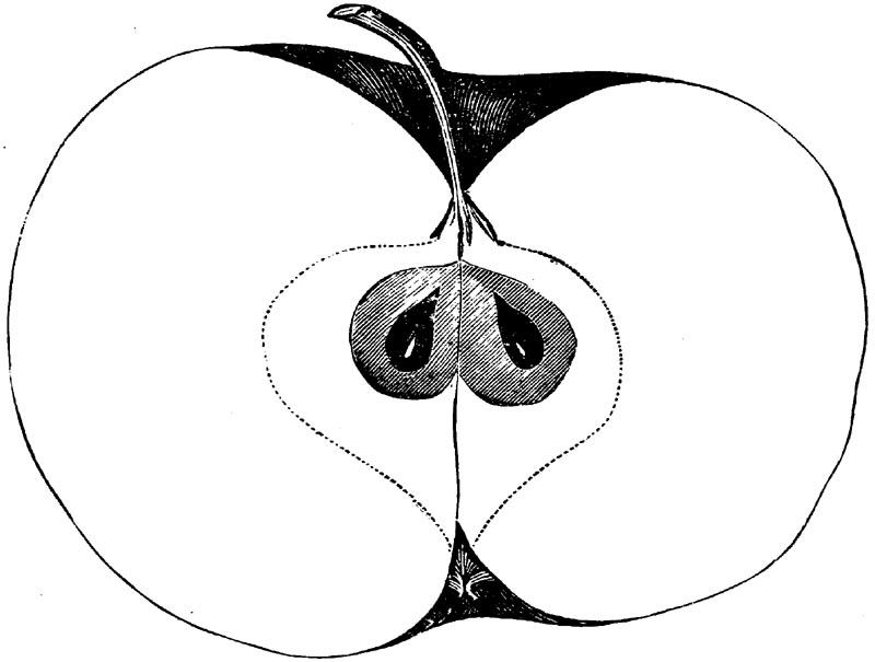 Figure 110.