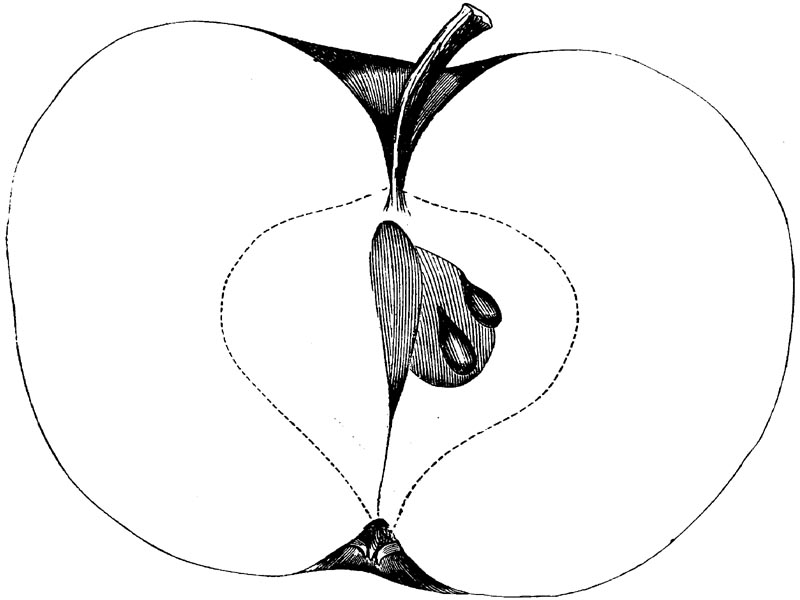Figure 111.