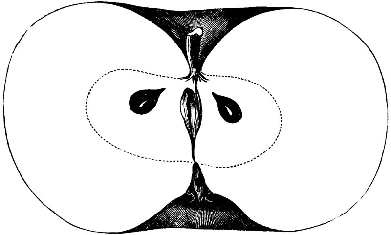 Figure 112.