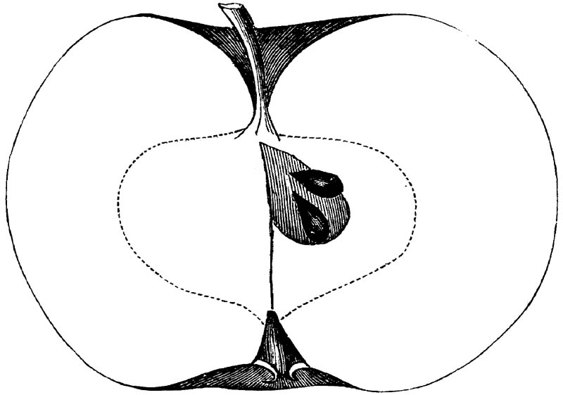 Figure 113.