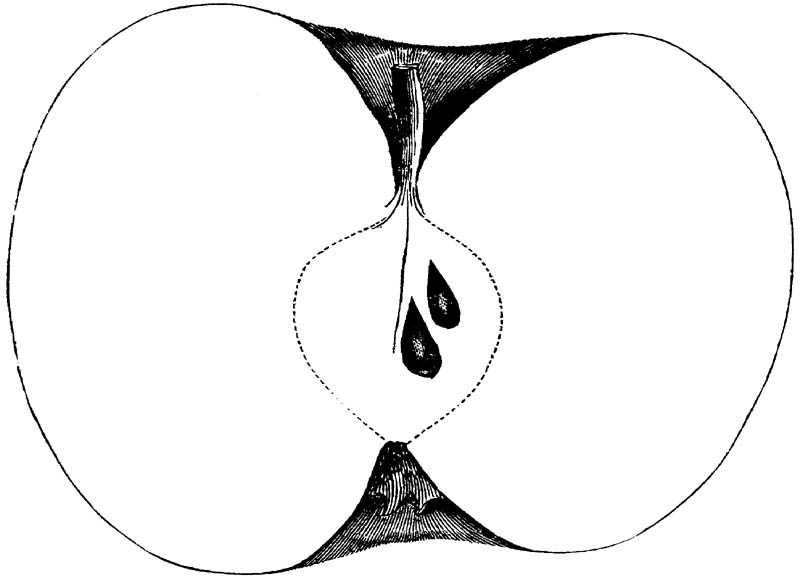 Figure 114.