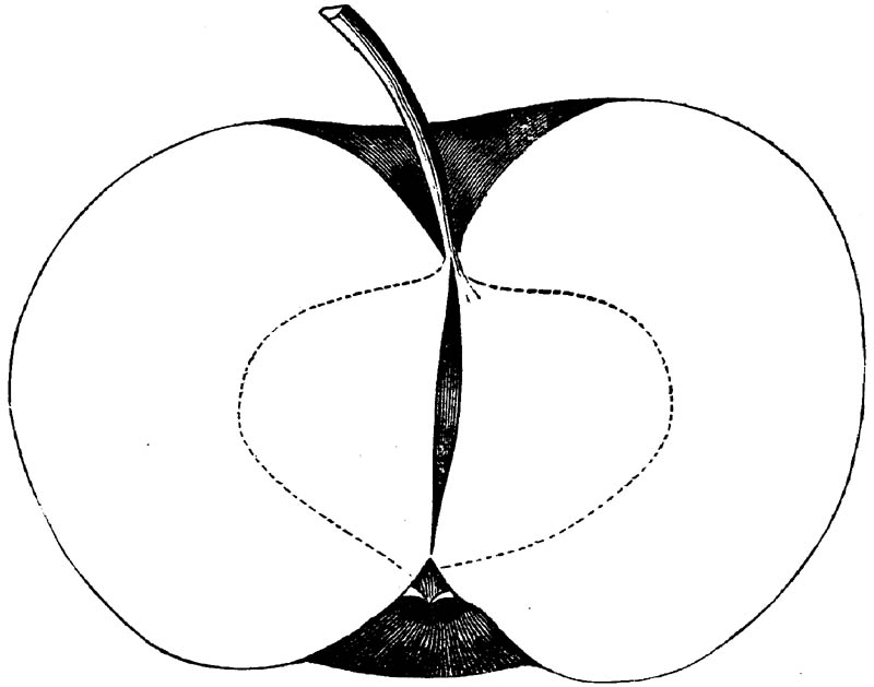 Figure 116.