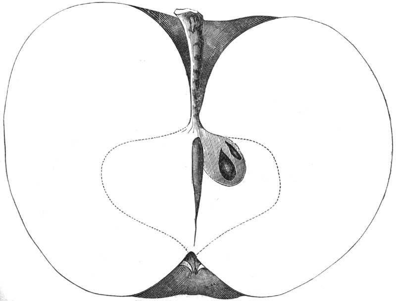 Figure 117.