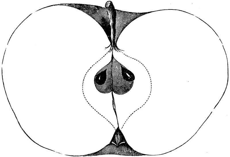 Figure 118.
