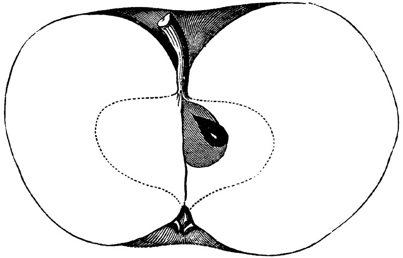 Figure 119.