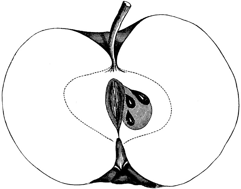 Figure 120.